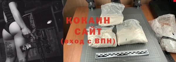 a pvp Алзамай