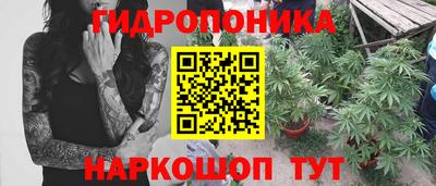 крисы Изобильный