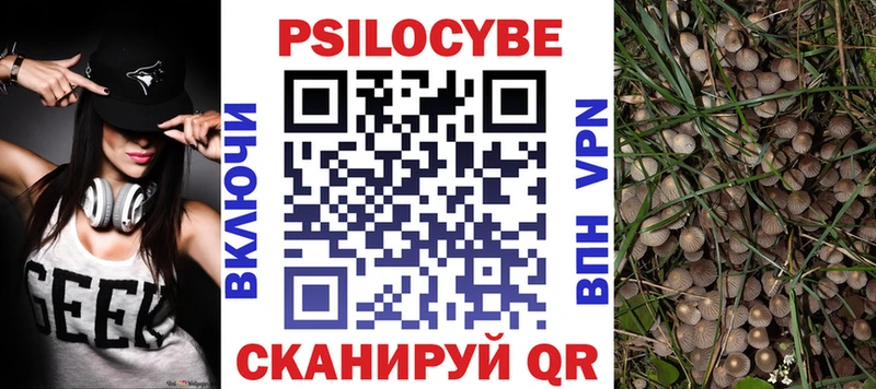 Галлюциногенные грибы MAGIC MUSHROOMS  магазин    Магадан 