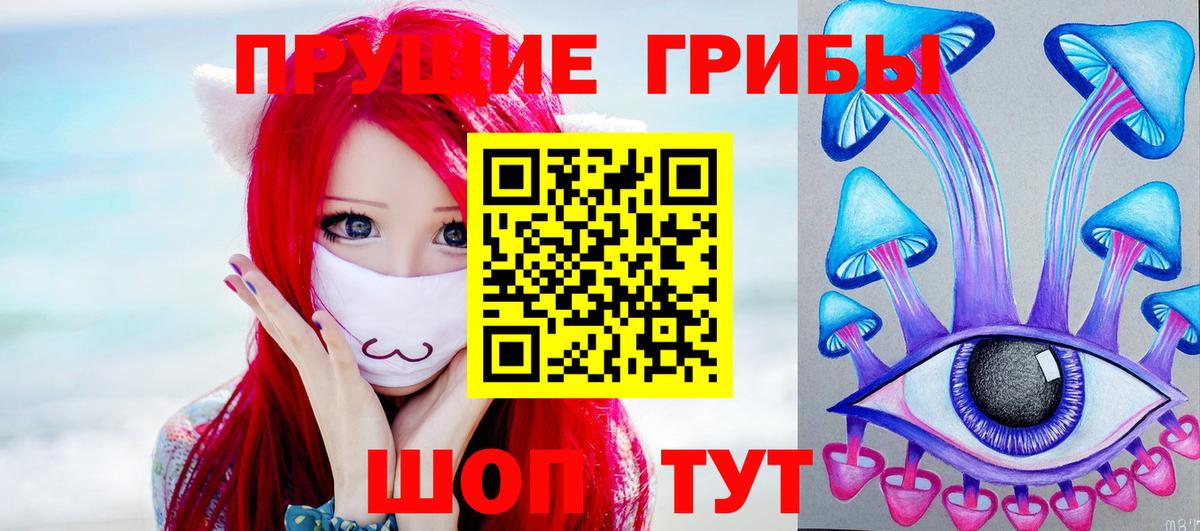 Галлюциногенные грибы ЛСД  Вход с VPN  где можно купить   Магадан 